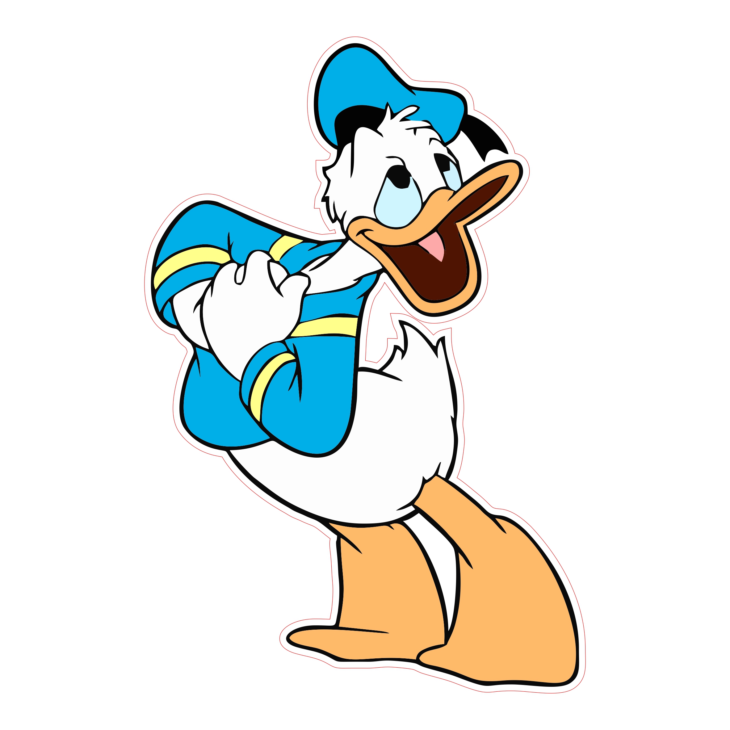 Donald Duck sticker