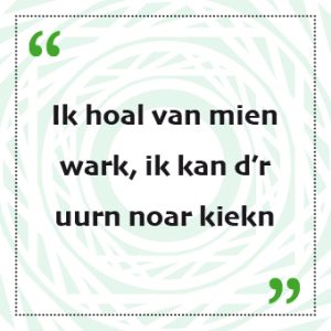 Twentse spreukensticker Ik hoal van mien work, ik kan d'r uurn noar kieken